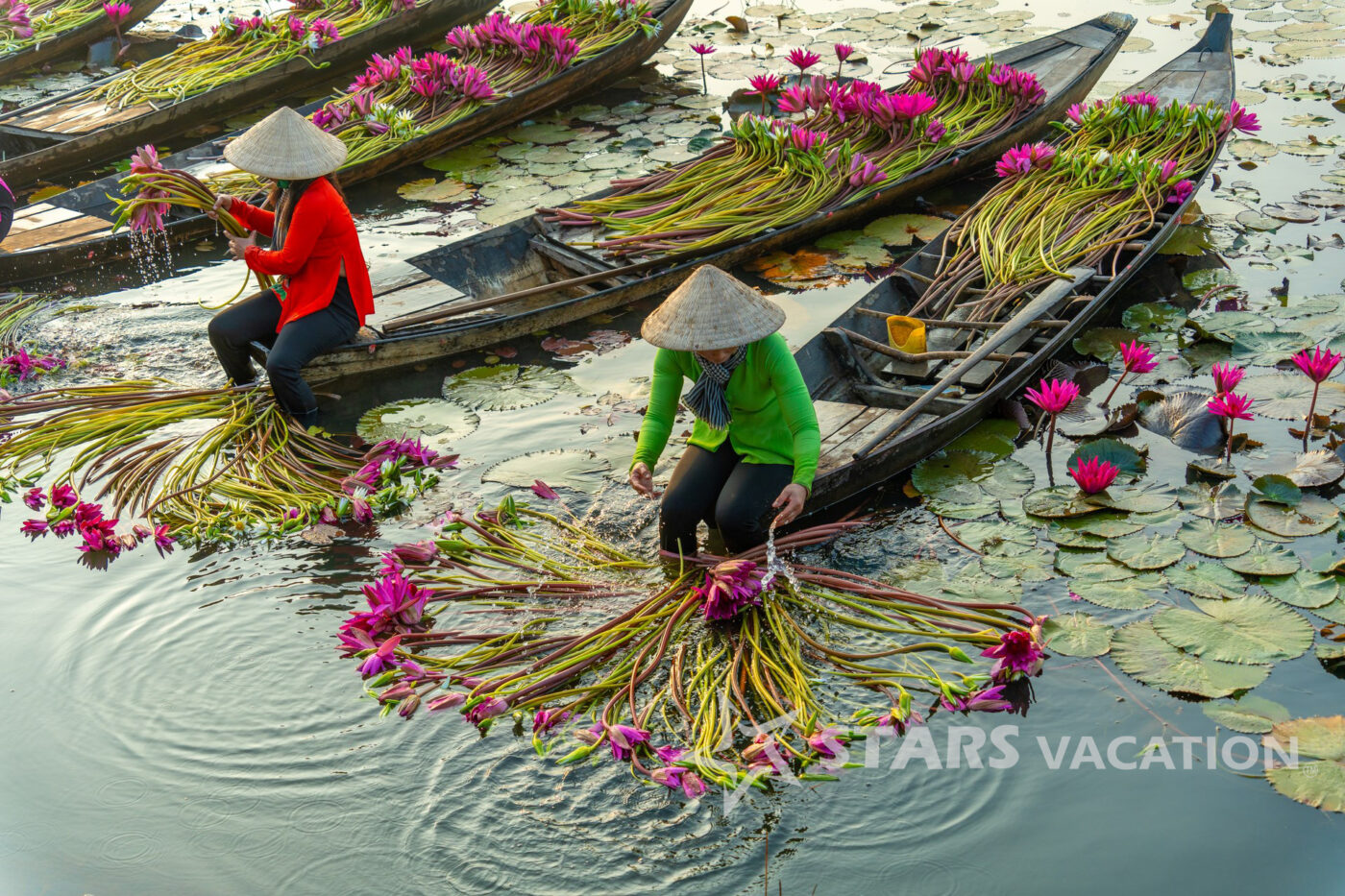 1-DAY EXPERIENCE ON MEKONG RIVER