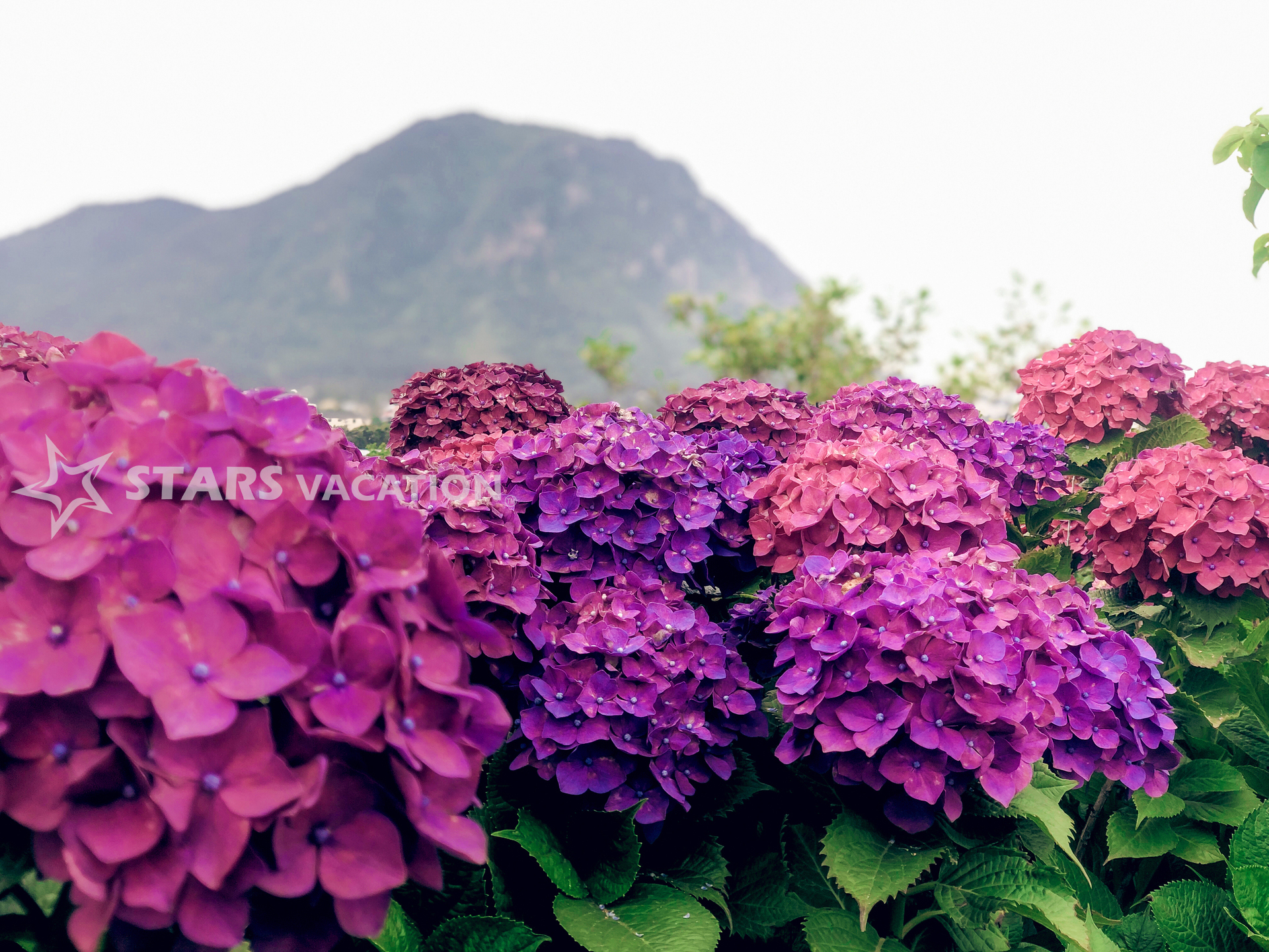 ADVENTUROUS JEJU ISLAND (OPTIONAL TOUR)